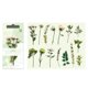 thumbnail image 1 of 30Pcs Vintage Plants Flowers Leaves Stickers Vintage Retro Flower Plant Stickers Decals for Laptop Scrapbooking Journal Planner Card Making Amidst The Mountain Mist, 1 of 5