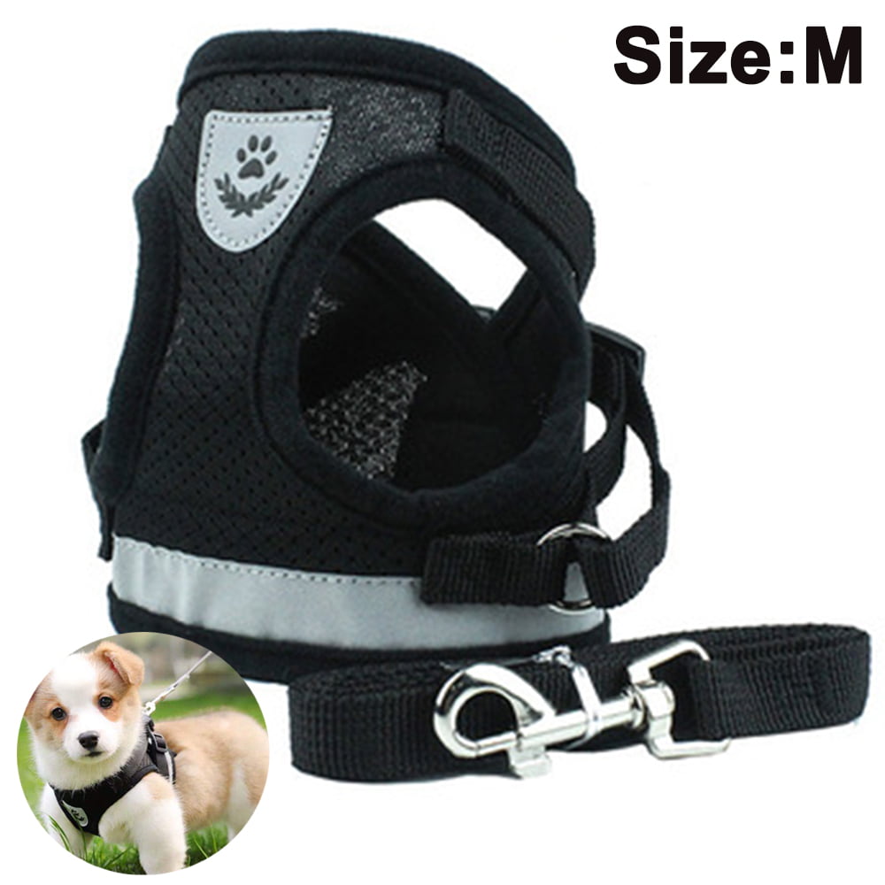 Collar 3 Piece Set Cat Cute Puppy Kitten Safety Light Weight Sturdy Adjustable Stroll Adjustable Cat Harness Nylon Strap Leashes Collar with Leash Stroll Pullstring Pet Harness Lead 