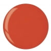 Tangerine Orange