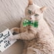 thumbnail image 4 of 2pcs Adorable Cat Bowtie Bell Collares Día de San Patricio Collares de perro ajustables, 4 of 6