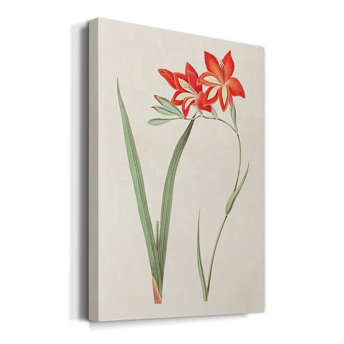Flowers of the Seasons IV Premium Gallery Wrapped Canvas - Ready to Hang