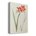 thumbnail image 2 of Flowers of the Seasons IV Premium Gallery Wrapped Canvas - Ready to Hang, 2 of 9