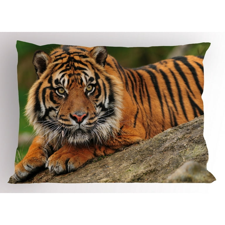 Standard size top pillow sham
