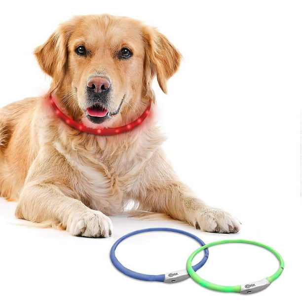 Collar de perro con luz LED que brilla en la oscuridad y parpadea para visibilidad nocturna