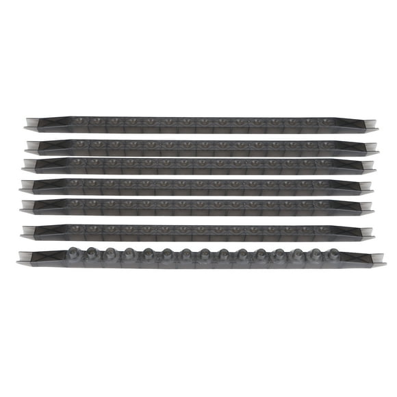 Tasse de cellules de reine d'abeille, Tasse d'élevage de reine d'abeille durable, conception linéaire 100 Pcs pour apiculteur reine apiculture abeille
