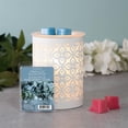 thumbnail image 3 of ScentSationals, Scented Wax Cubes - Fresh Cut Eucalyptus, 3 of 6