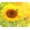 Sunflower MP99, variant on Floral Pattern Flower Mouse Pad Mat Mousepad for Desk Computer Laptop PC Gaming Home or Office Gift for Her Flowers