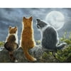 Boxed Note Cards, Cat Whisperers