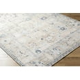 thumbnail image 3 of BoutiqueRugs Toddy Traditional Runner Rug - Light Silver, Sterling Gray, Metallic Silver - 2'7" x 7'3" Runner, 3 of 7