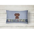 thumbnail image 2 of Carolines Treasures BB5712PW1216 Dachshund Chocolate Welcome Canvas Fabric Decorative Pillow, 12H x16W, multicolor, 2 of 3