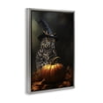 thumbnail image 3 of Stupell Industries Bewitching Gaze of Owl Gray Framed Floater Canvas Wall Art design by Kelley Parker, 31 x 21, 3 of 9