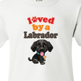 thumbnail image 4 of Inktastic Labrador Retriever Dog Black Lab Youth T-Shirt, 4 of 5