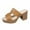 Khaki, variant on Summer Women's Sandals Casual Daily Shoes Chunky Heels Open Toe Slip-On High Heels Slippers for Women Beach Fashion Brown 8.5