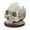 B, variant on mdesiwst Skull-Shaped Knife Holder with Bone Texture Dark Horror Kitchen Decor for Halloween Gothic Style Stable Unique Gift for Horror Fans