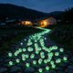 thumbnail image 5 of 2cm Droplet Shaped Luminous Garden Road Colored, 5 of 7