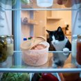 thumbnail image 6 of Silicone Pet Food Storage Container 8.2cm, Microwave and Freezer Safe Sealed Lid for Cat Wet Food, Airtight Mini Food Container for Fridge Storage, Reusable Food Grade Container for Pets, 6 of 7