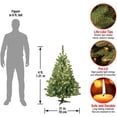 thumbnail image 3 of National Tree Company 4 Ft Artificial Prelit Kincaid Spruce Christmas Tree, 3 of 7