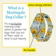 thumbnail image 3 of Country Brook Petz® 1 1/2 inch Sunny Days Martingale Dog Collar, Medium, 3 of 6