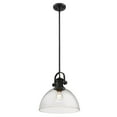 thumbnail image 2 of Yep by Golden Lighting Hines 1-light 14in Pendant in Matte Black and Seeded Glass, 2 of 4