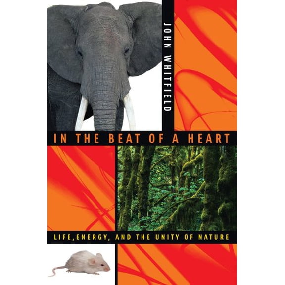 Pre-Owned In the Beat of a Heart: Life, Energy, and the Unity of Nature (Hardcover) 0309096812 9780309096812