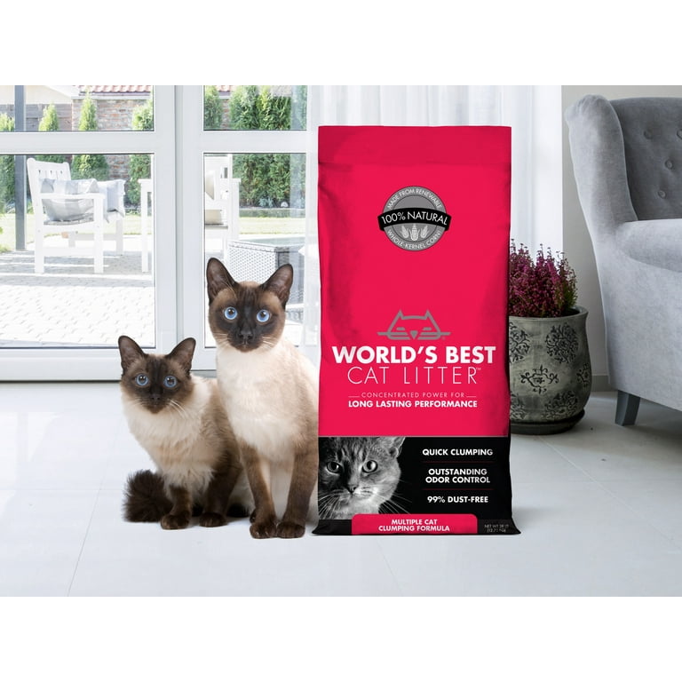 Best cat clearance litter at walmart