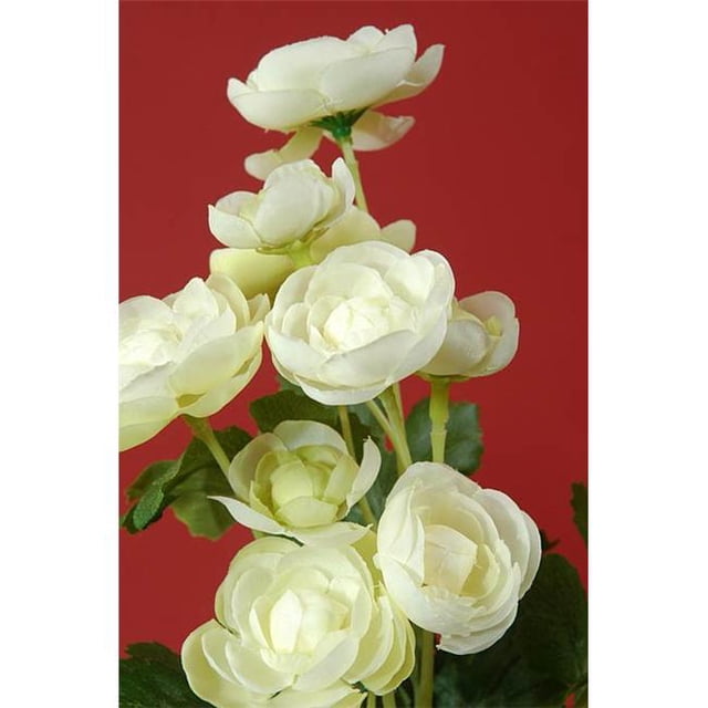 FBR995-CR 13 in. Cream Mini Ranunculus Bush X5- Case of 12