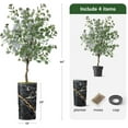 thumbnail image 2 of Artificial Tree in Modern Granite Effect Planter, Fake Eucalyptus Silk Tree for Indoor and Outdoor Home Decoration - 66" Overall Tall (Plant Pot Plus Tree), 2 of 5