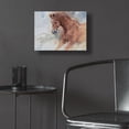 thumbnail image 5 of Epic Art 'Equine Exercise' by Robert Campbell, Acrylic Glass Wall Art, 16"x12", 5 of 8