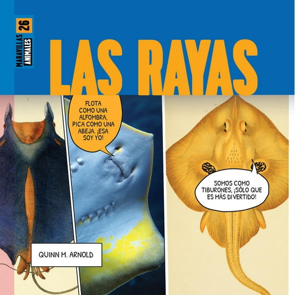 Las Rayas, (Paperback)