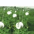 thumbnail image 4 of Tomato Support Hook, Tomato  Roller 10pcs  For Planting Fruit, 4 of 8