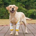 thumbnail image 4 of Dog Elbow Protector, Dog Front Leg Recovery Sleeve with Mesh Pad, Dog Elbow Pads for Medium Large Dogs Yellow Ice Cream 2XL, 4 of 6