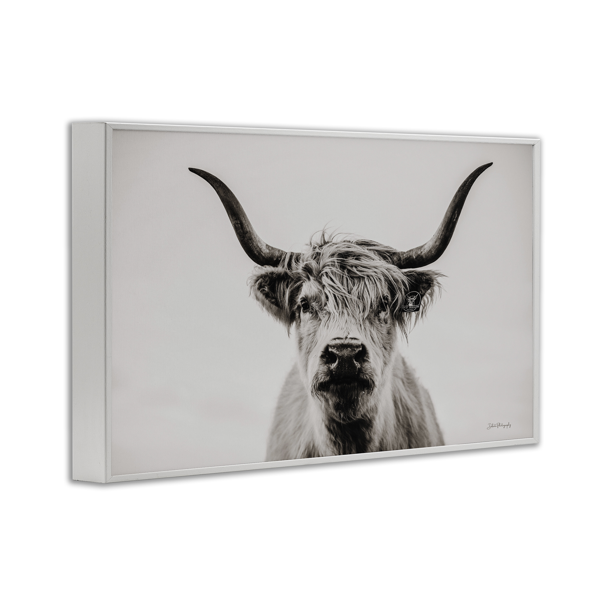 Stupell Industries Calm Cattle Portrait Animals & Insects Photography White Framed Art Print Wall Art, 24 x 16
