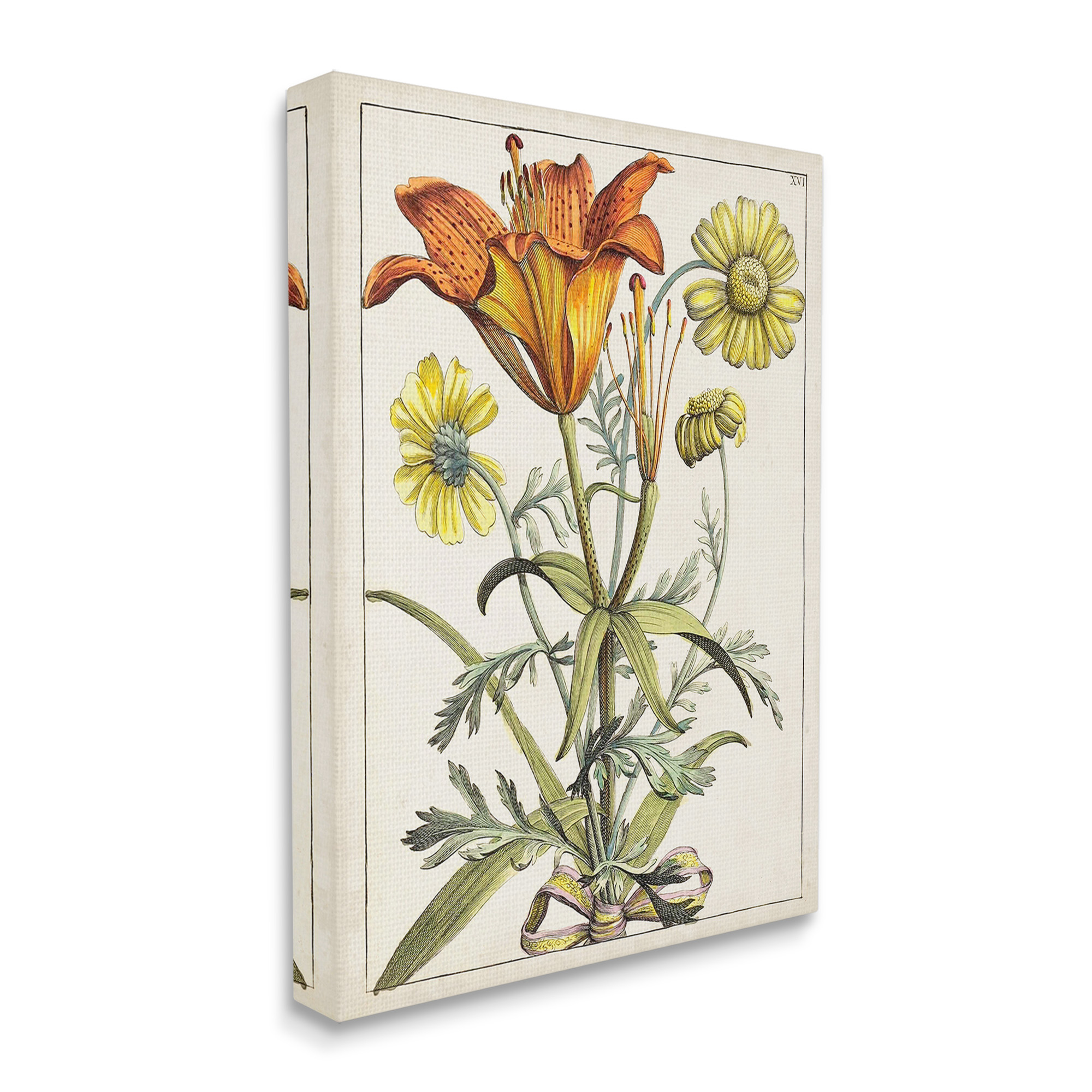 Stupell Industries Flowers Latin Study Botanical & Floral Painting Gallery Wrapped Canvas Art Print Wall Art, 36 x 48