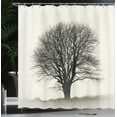 thumbnail image 4 of Ambesonne Country Shower Curtain, Branch Tree Field, 69"Wx75"L, Ivory Dark Grey, 4 of 5