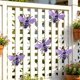thumbnail image 4 of Adorno colgante de hierro para jardín – Adorno de mariposa de metal pintado a mano para valla exterior, patio o terraza – Artesanía rústica resistente a la intemperie, 4 of 6