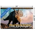 thumbnail image 3 of Dinosaurs - Triceratops Wall Poster with Pushpins, 22.375" x 34", 3 of 3