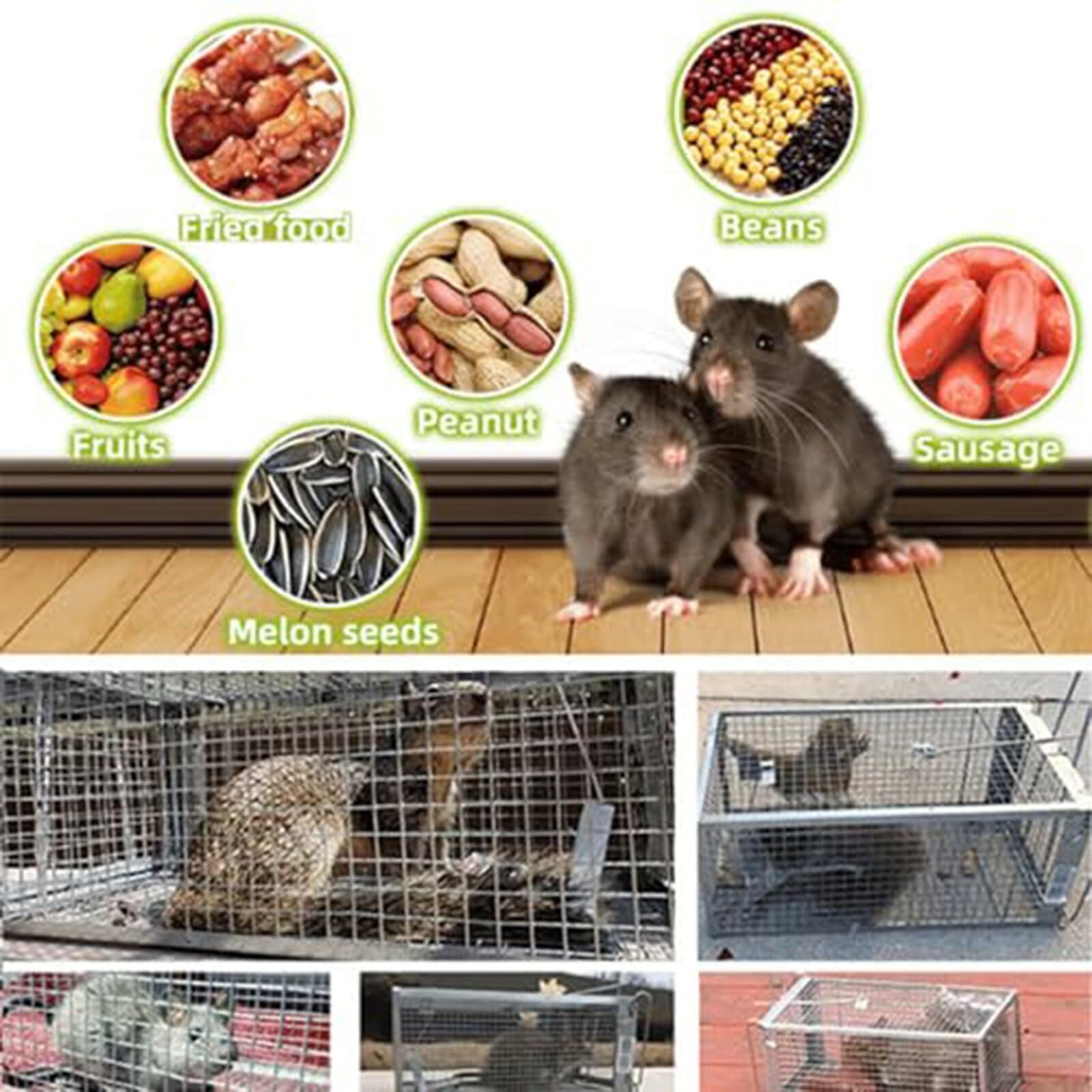 SXlianshun-Stainless Steel Automatic Mousetrap,Mouse Trap, Automatic Mouse Trap, Easy to Set Mice Catcher for Indoor and Outdoor