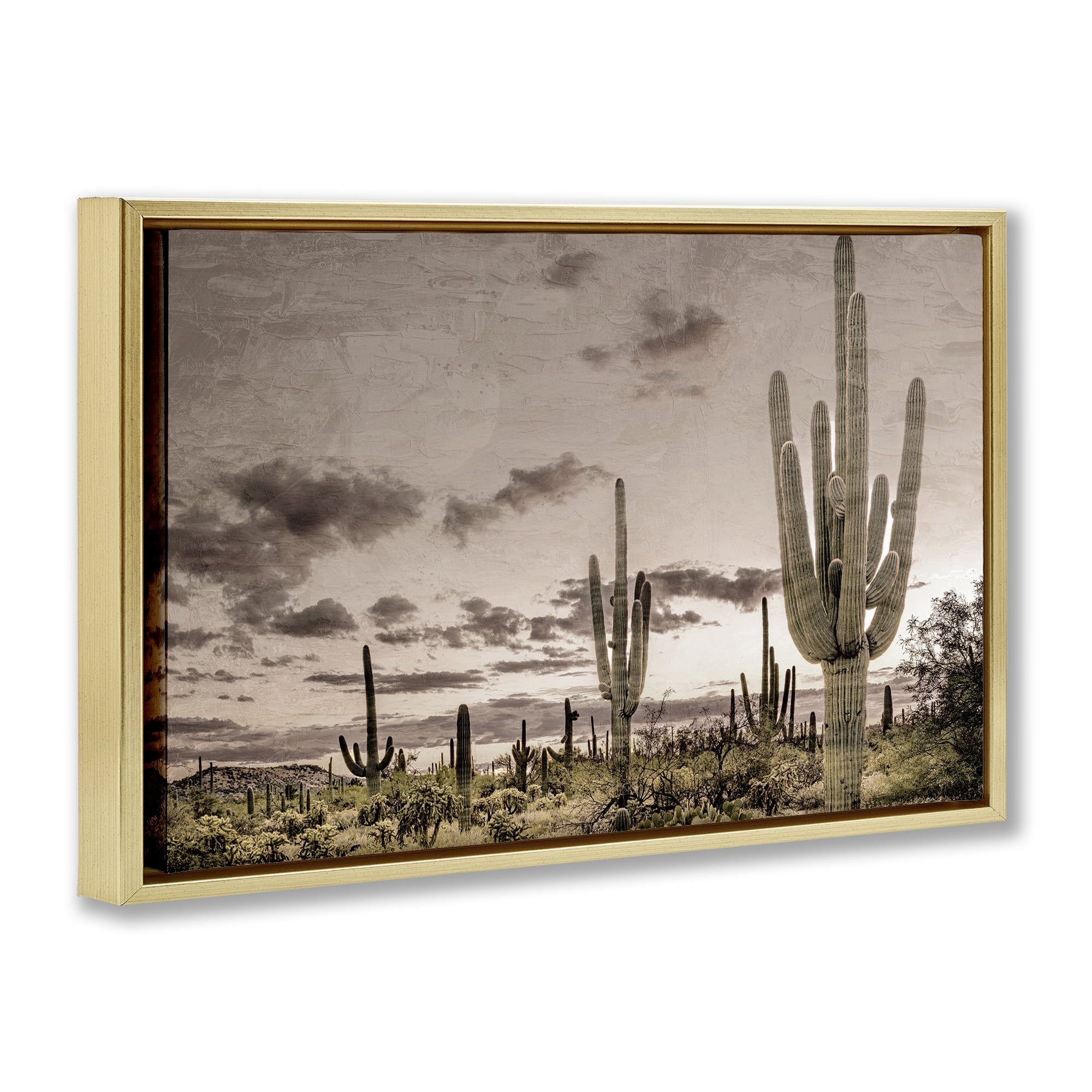 Stupell Industries Desert Sky Wilderness Gold Framed Floater Canvas Wall Art, design by Kim Allen