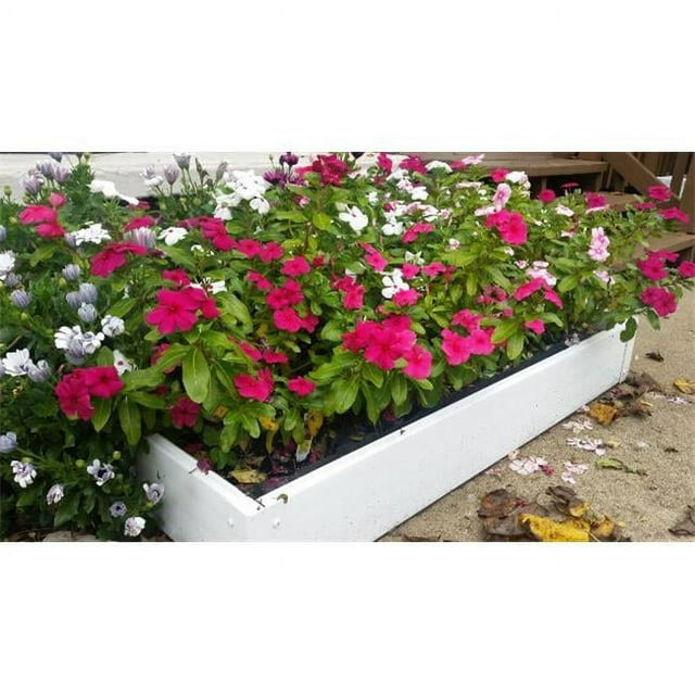 Cook Products HB-24TGW Lit Surélevé Handy 2 x 4 pour un Excellent Jardin