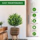 thumbnail image 2 of Qinaqin 25-inch Artificial Cedar Topiary Trees con Ground Spike Set de 2 para Indoor y Outdoor Use, 2 of 7