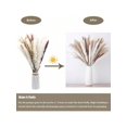 thumbnail image 2 of 50/80pcs Pampas Grass Decoration Set Including Fluffy Pampas Flowers, Reed Hay And Rabbit Tail Dried Flowers, Natural Dried Pampas Grass Bouquet, Suit, 2 of 4