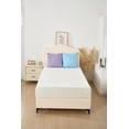 thumbnail image 5 of CHIUSNOOZE 8 inch Twin Mattress, Breathable Bamboo Cover, Pressure Relief Breathable,Fiberglass Free (8 Inch, Twin XL), 5 of 8