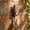 Black1#, variant on FeiFu Rustic Iron Wall Hook, Decorative Pinecone Tree Coat Hanger, Heavy Duty Metal Towel Holder for Entryway Kitchen Bedroom