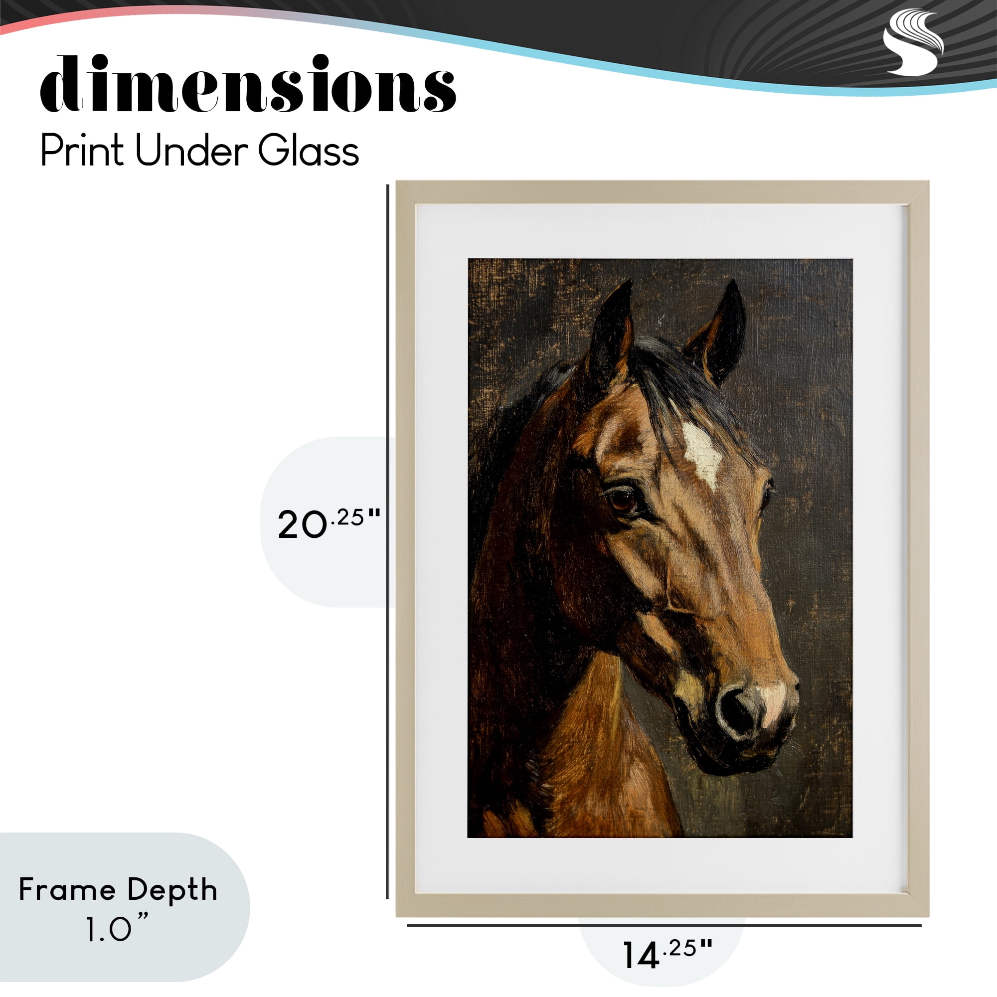 Stupell Industries Horse Portrait Study Birch Framed Print Under Glass, design by Petal Prints Design