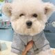 thumbnail image 4 of Vestido para perros Falda para perros Ropa para perros pequeños Conjuntos para niñas y gatitos Vestido para gatos Ropa para mascotas Ropa para perros Ropa elegante, 4 of 6