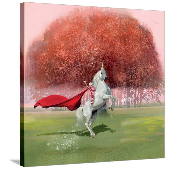 Art.com Unicorn Ride Stretched Canvas Print Wall Art by Nancy Tillman, 30" x 30"
