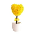 thumbnail image 1 of ONFD LUXLEVO Heart Shaped Bonsai Mini Potted For Home Desk White Small Ornamental Tabletop, 1 of 5