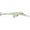 Luminous/Green HB, variant on Storm Original Deep ThunderStick Crankbait Red Hot Tiger