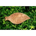 thumbnail image 3 of Rainforest Bowls Leaf Coconut Wood Plate 2-Pack, 3 of 5