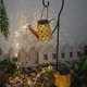 thumbnail image 3 of Billuyoard Guirnalda de luces LED con energía Solar para césped, Patios, camino, lámpara de jardín, iluminación de paisaje exterior Iluminación y accesorios, 3 of 6